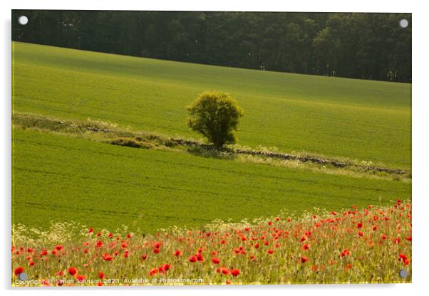  tree and Poppy field Acrylic by Simon Johnson
