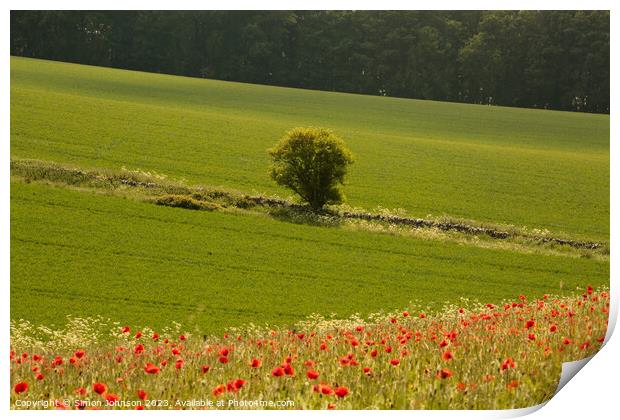  tree and Poppy field Print by Simon Johnson