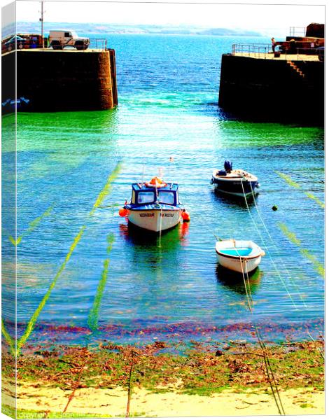 Serene Entrance to Mousehole Harbour Canvas Print by john hill