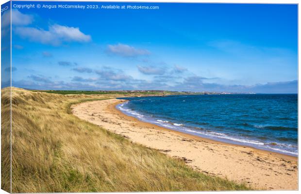 Golden sands of the Fife coast of Scotland Canvas Print by Angus McComiskey