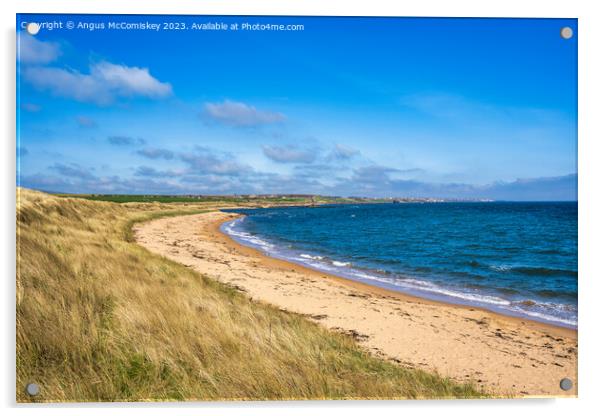 Golden sands of the Fife coast of Scotland Acrylic by Angus McComiskey