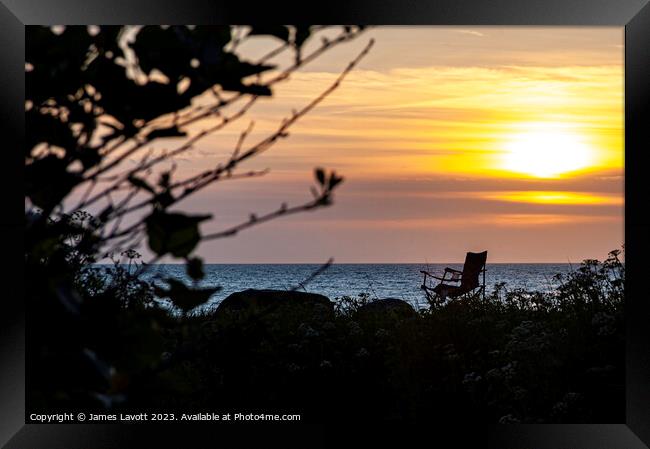 Made For Contemplation Framed Print by James Lavott