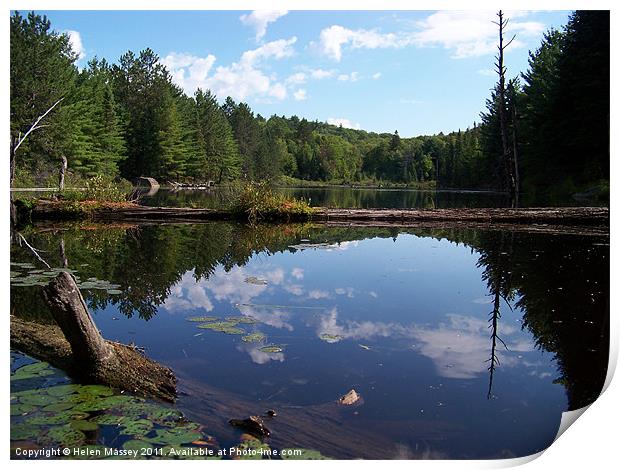 Beaver Pond in Algonquin Park, Canada Print by Helen Massey