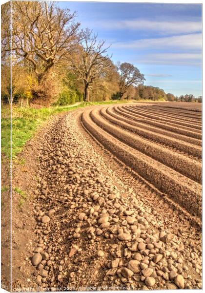 Staffordshire Ploughed Field Canvas Print by Jon Saiss