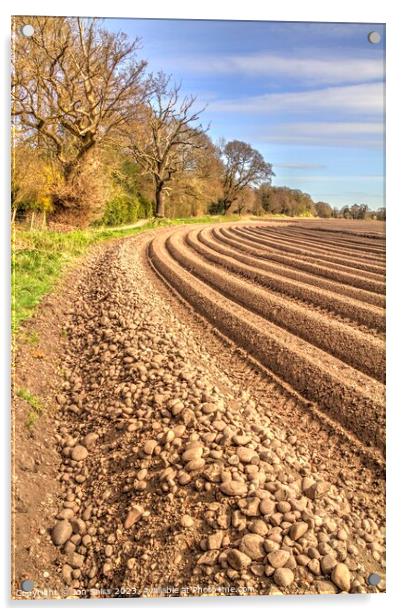 Staffordshire Ploughed Field Acrylic by Jon Saiss
