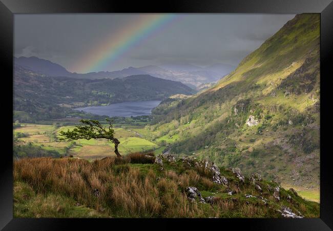 Llyn Gwynant with Yr Aran Framed Print by Rory Trappe