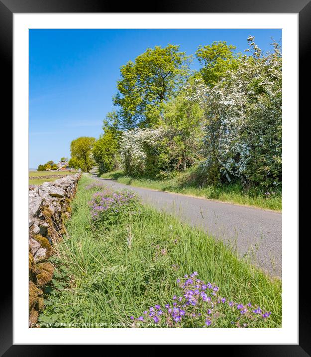 Summer Morning on Middle Side Teesdale Framed Mounted Print by Richard Laidler