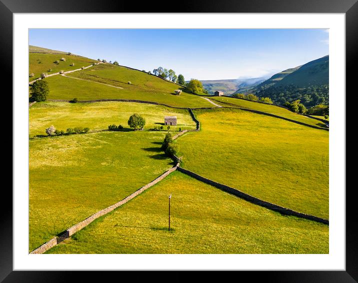 Muker Buttercup Meadows: Yorkshire Dales Hillside Framed Mounted Print by Tim Hill