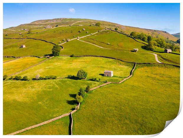 Muker Buttercup Meadows: Yorkshire Dales Hillside Print by Tim Hill