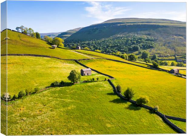 Muker Buttercup Meadows: Yorkshire Dales Hillside Canvas Print by Tim Hill