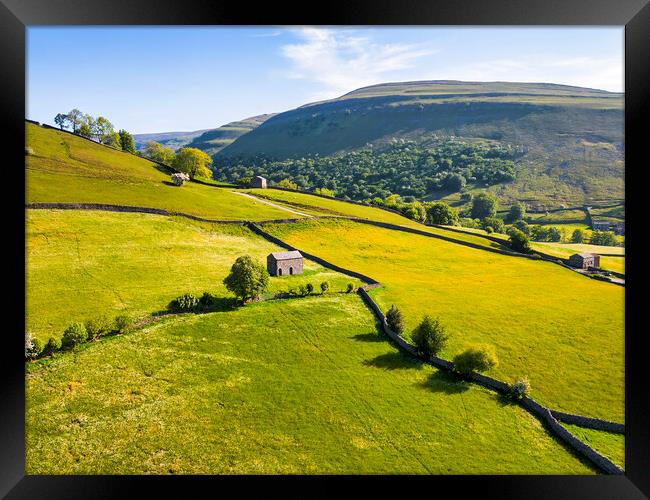 Muker Buttercup Meadows: Yorkshire Dales Hillside Framed Print by Tim Hill