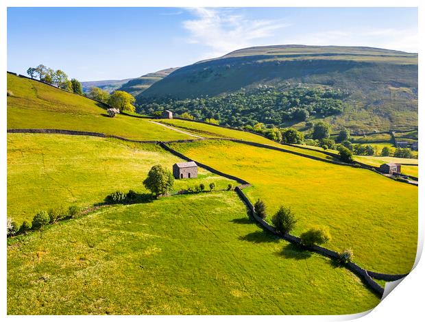 Muker Buttercup Meadows: Yorkshire Dales Hillside Print by Tim Hill