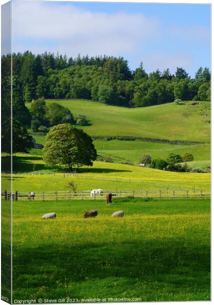 Rural Scene with Sheep and Horses Gazing in a Lush Green Valley. Canvas Print by Steve Gill