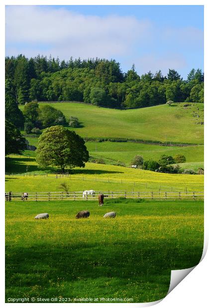 Rural Scene with Sheep and Horses Gazing in a Lush Green Valley. Print by Steve Gill
