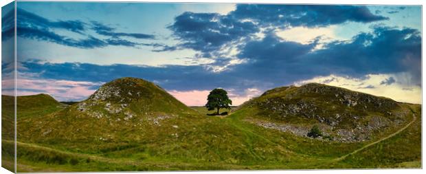 Stunning Panoramic Sunset at Sycamore Gap, Hadrian Canvas Print by Tracey Turner