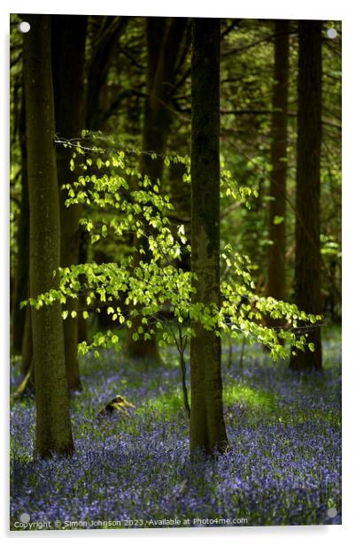 Sunlit tree and bluebells  Acrylic by Simon Johnson