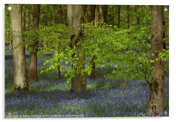 spring leaves and bluebells  Acrylic by Simon Johnson