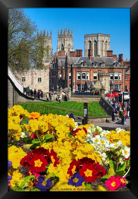 York Minster View Framed Print by Alison Chambers
