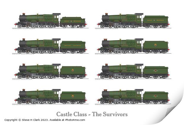Castle Class - The Survivors Print by Steve H Clark