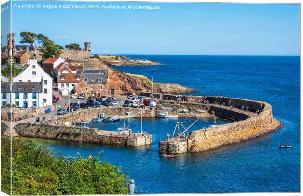 Crail harbour in East Neuk of Fife Canvas Print by Angus McComiskey