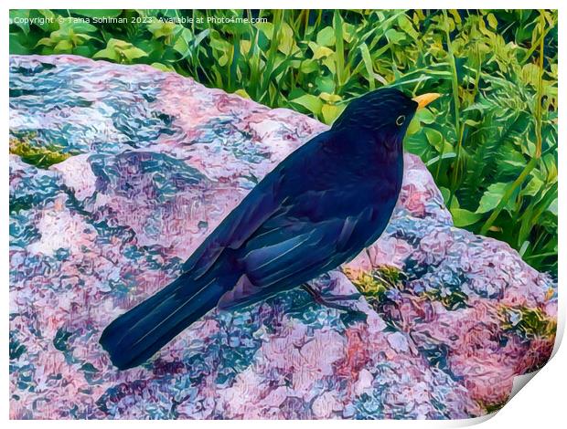 Beautiful Blackbird Digital Art Print by Taina Sohlman