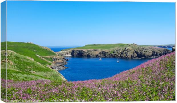 Skomer Island View Canvas Print by claire chown