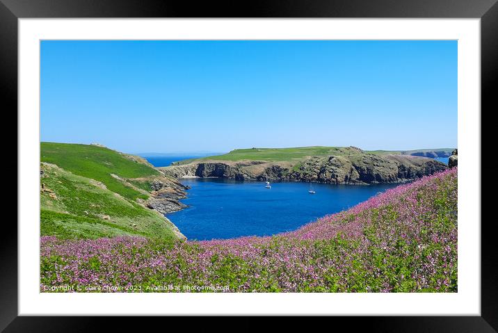 Skomer Island View Framed Mounted Print by claire chown