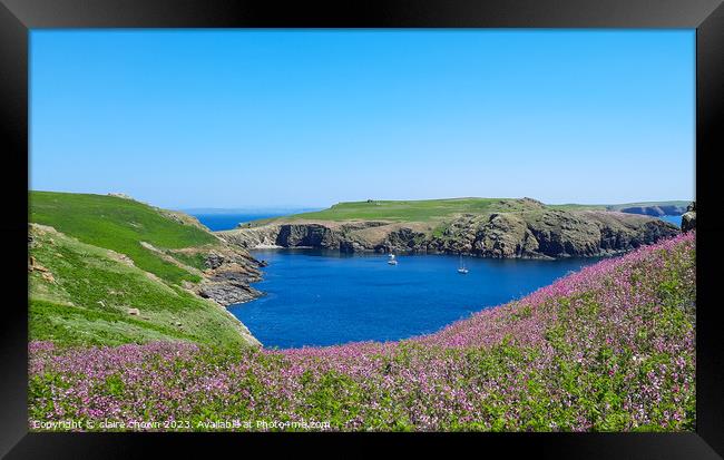 Skomer Island View Framed Print by claire chown