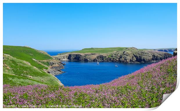 Skomer Island View Print by claire chown