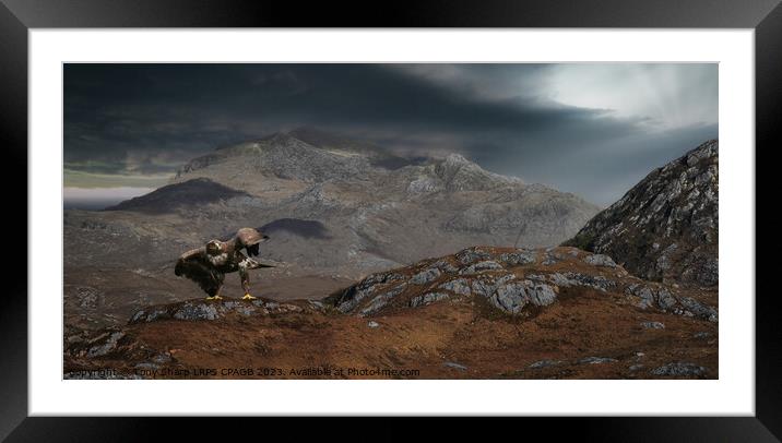 GOLDEN EAGLE IN THE SCOTTISH HIGHLANDS Framed Mounted Print by Tony Sharp LRPS CPAGB
