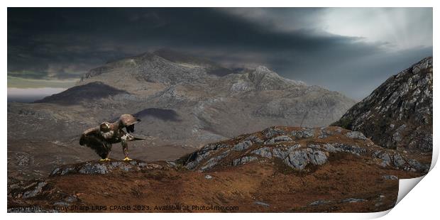 GOLDEN EAGLE IN THE SCOTTISH HIGHLANDS Print by Tony Sharp LRPS CPAGB