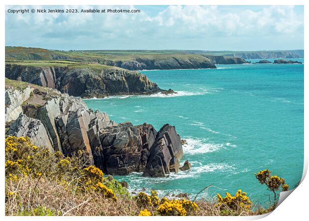Pembrokeshire Cliff Coast at Porthclais Print by Nick Jenkins