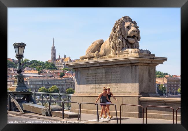 Guardian lion - Budapest Framed Print by Laszlo Konya