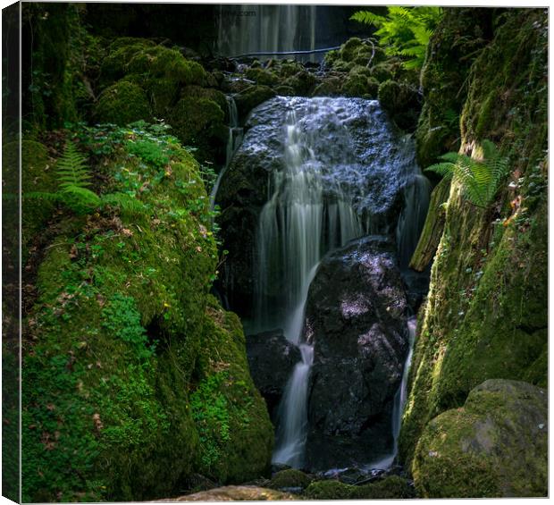 Enchanting Forest Waterfall Canvas Print by Jo Sowden