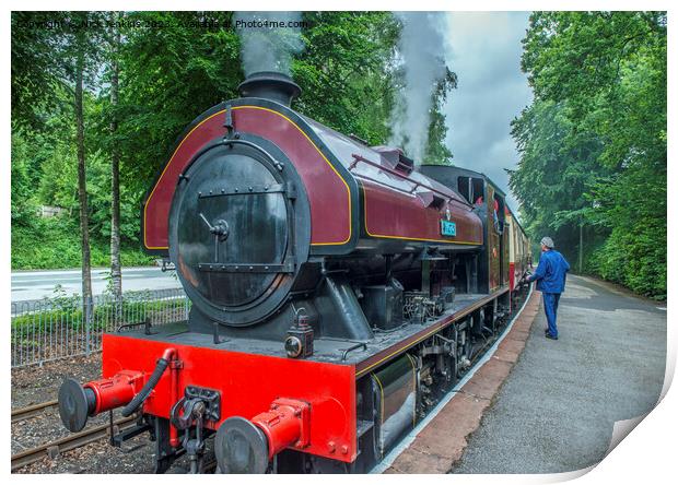 Victor leaving Haverthwaite and Lakeside Station  Print by Nick Jenkins