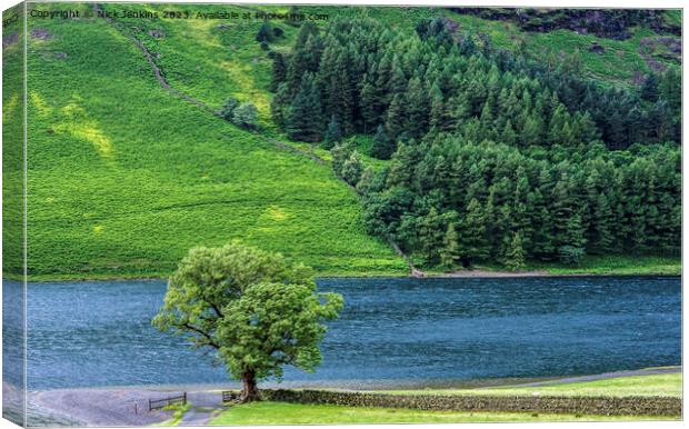 Lonely Tree Buttermere Lake District National Park Canvas Print by Nick Jenkins