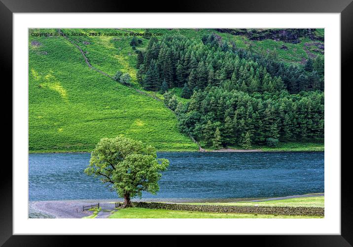 Lonely Tree Buttermere Lake District National Park Framed Mounted Print by Nick Jenkins