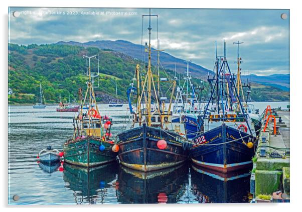 Trawlers berthed at Ullapool Harbour  Acrylic by Nick Jenkins