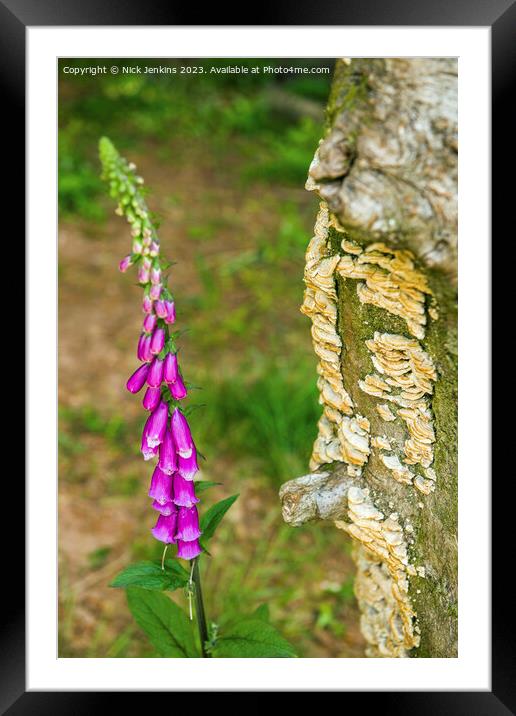 Foxglove Flowers and Fungi behind  Framed Mounted Print by Nick Jenkins