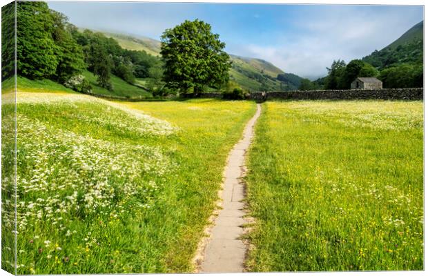 Muker Wildflower Meadows, Upper Swaledale Canvas Print by Tim Hill