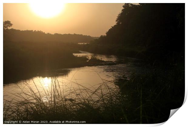 Sunset at Chitwan National Park Print by Aidan Moran