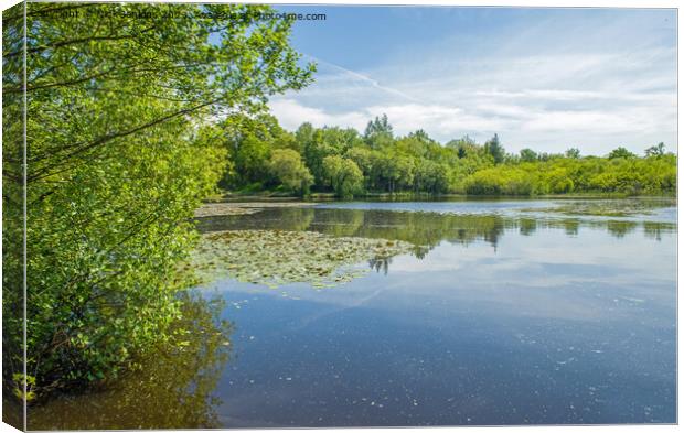 Hensol Fishing Lake at Hensol Forest  Canvas Print by Nick Jenkins