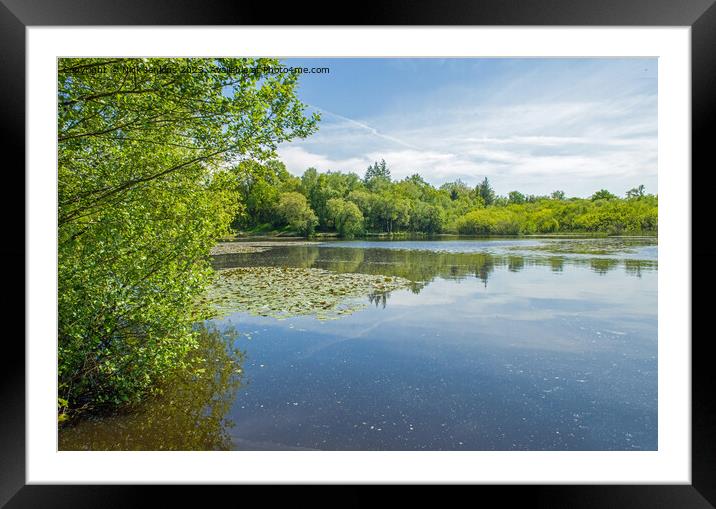 Hensol Fishing Lake at Hensol Forest  Framed Mounted Print by Nick Jenkins