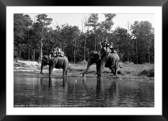 Elephant Safari at Chitwan National Park, Nepal Framed Mounted Print by Aidan Moran