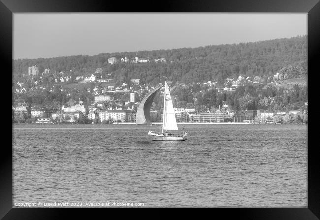 Sail Boat Lake Zurich  Framed Print by David Pyatt