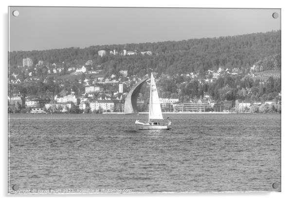 Sail Boat Lake Zurich  Acrylic by David Pyatt