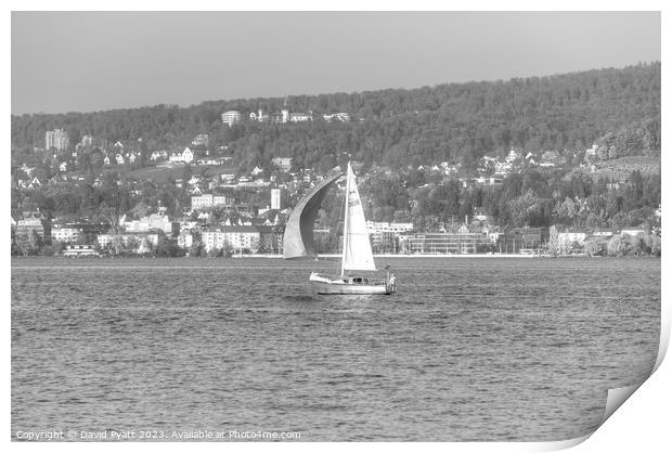 Sail Boat Lake Zurich  Print by David Pyatt