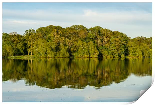 View across the Mere to a reflection of distant tr Print by Steve Heap