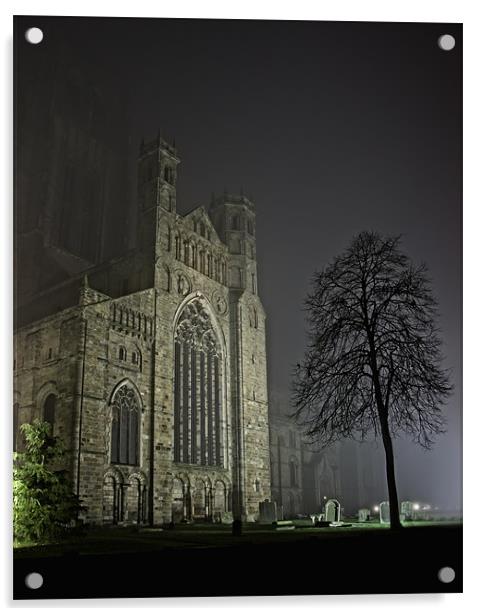 Misty Cathedral Acrylic by Northeast Images