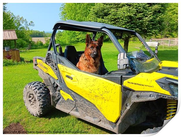 Windigo going for a drive Print by Stephanie Moore